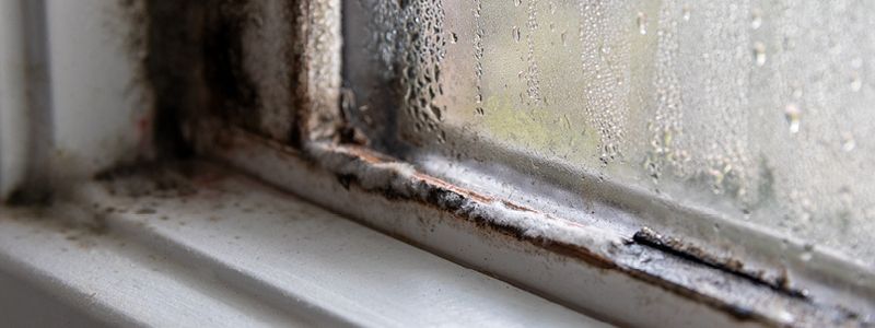 close up of window corner with mold growth and excessive condensation